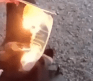 Выгнали из модельной школы: как наказали девушку из Каменского, которая сожгла флаг Украины