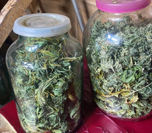 У розповсюдженні наркотиків через «Telegram» підозрюють чотирьох мешканців Київщини