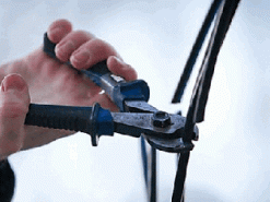 В Днепре воры прославились на весь Интернет из-за неудачной кражи