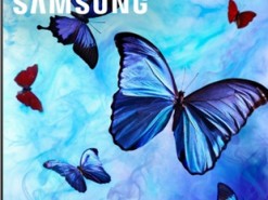 Samsung и AMD объявили о поддержке FreeSync в телевизорах 2018 года