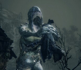 Игроки нашли в Bloodborne монстра, представленного ещё 3 года назад