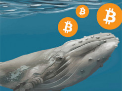 Биткоин-кит переместил $330 млн в BTC на неизвестный кошелек