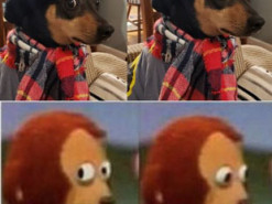 Пользователи сети решили показать, на кого похожи их собаки: курьезные фото