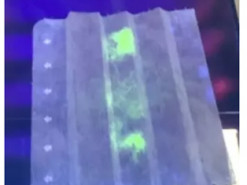 В Японии создали маску, которая светится при контакте с коронавирусом