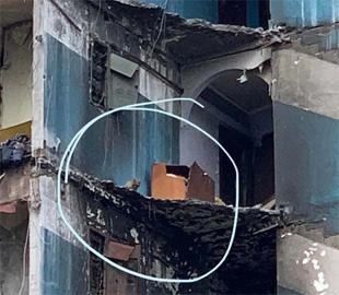 Нашелся хозяин кошки, которую спасли с седьмого этажа разрушенной многоэтажки в Бородянке