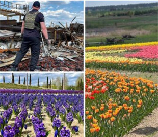 В сети показали, как выглядит обстрелянный оккупантами "Добропарк" на Киевщине. Фото