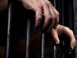 В Беларуси мужчине дали 1,5 года тюрьмы за пост в Telegram с критикой Лукашенко