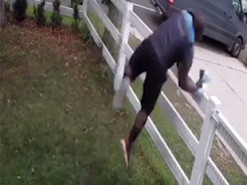Он просто хотел дружить: Курьер проявил способности акробата при виде огромной собаки