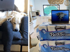 Смекалка в действии: "креативные" рабочие места людей на карантине