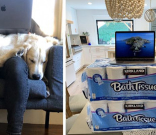 Смекалка в действии: "креативные" рабочие места людей на карантине