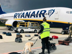 Глава Ryanair заявил, что самолет с Протасевичем посадили в Минске "под давлением"