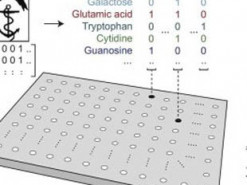 Создан первый опытный образец "молекулярного жесткого диска"