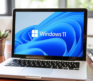 У Windows 11 знайшли ще один баг: тепер кнопка для введення пароля в систему невидима