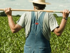 Геймеры сделали «Королевскую битву» из симулятора фермера