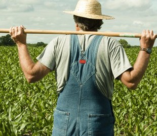 Геймеры сделали «Королевскую битву» из симулятора фермера