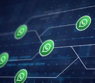 Шахраї у WhatsApp крадуть особисті дані: як не потрапити на гачок
