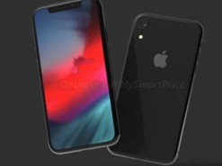 В Сеть попали качественные изображения двух еще не анонсированных iPhone (Фото)