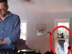 В США к диджею на вечеринку пришел медведь