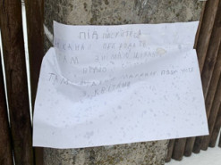 Девочка повесила на столбе объявление с рекламой своего YouTube-канала. Теперь у нее более 7,5 тыс. подписчиков