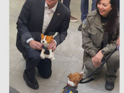 Блінкен у Києві потоваришував із псом-сапером Патроном (фото)