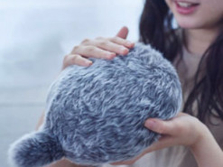 В Японии выросли продажи роботов-котов