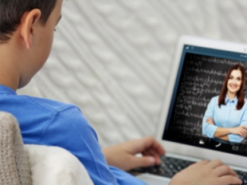 Школьников Василькова внепланово отправили на дистанционку