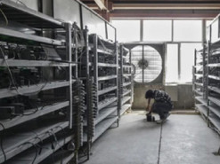 Майнеров оштрафуют на $5,5 млн за громкое жужжание "секретной" криптофермы