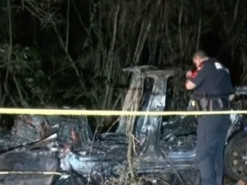 Представители Tesla склоняются к версии, что во время аварии в Техасе за рулём находился водитель