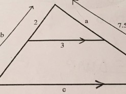 Задача для канадских школьников поставила пользователей Сети в тупик