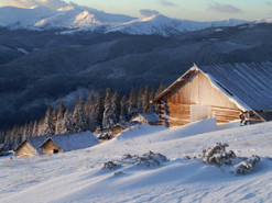 Знайти житло на Новий рік і не втрапити на шахраїв. Дієві поради