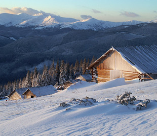 Знайти житло на Новий рік і не втрапити на шахраїв. Дієві поради