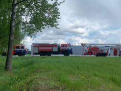 Опубликована запись переговоров пилотов Ryanair и белорусских диспетчеров