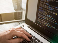 Зеленский подписал указ о привлечении в Украину программистов из Беларуси