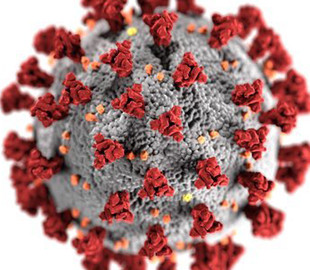 Создано приложение для определения наличия Covid-19 по звукам голоса
