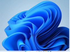 2025 рік не стане роком Windows 11: користувачі не поспішають оновлюватися