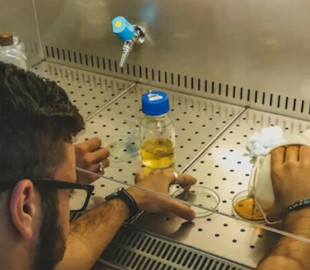 Британська ДНК-компанія, пов'язана з рф, зникла разом з конфіденційними даними