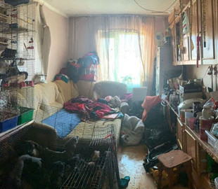 Жахливий випадок антисанітарії: у Києві маленька дівчинка жила у квартирі з 10 собаками, яких не вигулювали