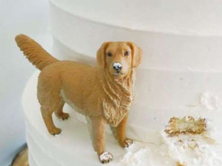 Этот свадебный торт рассмешил Интернет