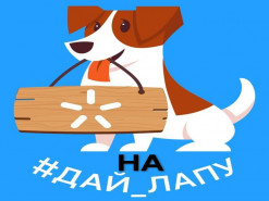 Киевстар снова попался на предоставлении незаказанных контент-услуг