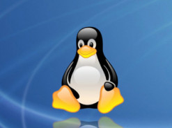 Релиз Linux 5.8 станет одним из самых больших и важных за всю историю ядра