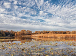 Запорізький фотохудожник показав вічну красу Хортиці восени
