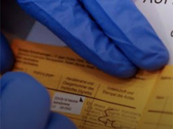 Чоловік купив за півтора тисячі фальшивий ковід-сертифікат для дочки і попався