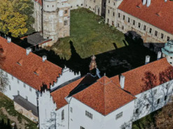 Мер польського містечка хоче продати замок Ілону Маску, бо влада не має грошей на реставрацію