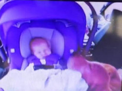 Заботящийся о младенце ретривер стал звездой Сети