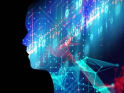 Алгоритмы ИИ предложили наделить теми же правами, что есть у животных