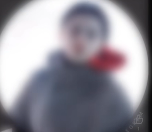 На Житомирщині 16-річна дівчина стріляла в собаку та зняла це на відео