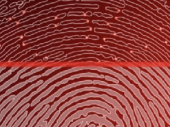 Как работает встроенный в дисплей сканер отпечатка пальца