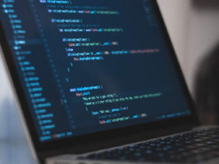 Яку мову програмування обирають початківці