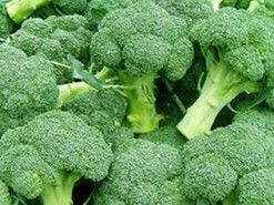 Мазь на основе брокколи оказалась в два раза эффективнее антибиотиков