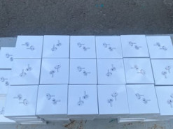 На кордоні у жінки виявили контрабандні Apple AirPods